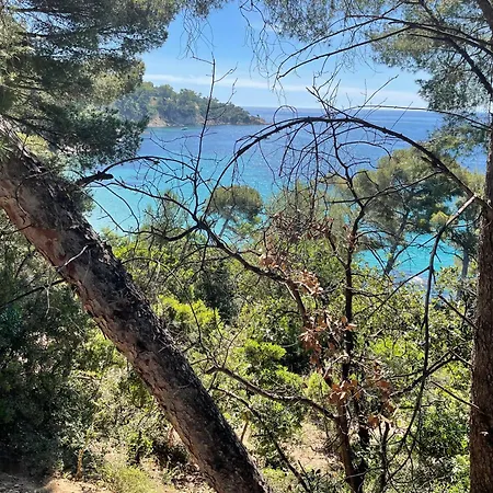 Location Au Lavandou Διαμέρισμα *