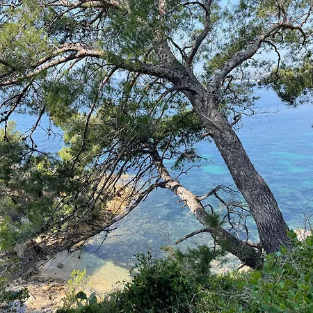 公寓 Location Au Lavandou