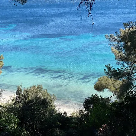 Appartement Location Au Lavandou