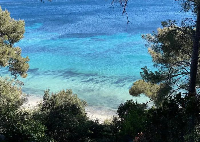 Appartement Location Au Lavandou